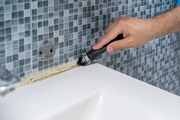 Best Bathroom Mold Remediation in Waynesville, MO
